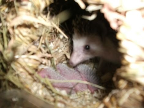 honey_family_2011._09._14_027.jpg
