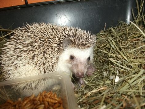 honey_family_2011._09._14_038.jpg