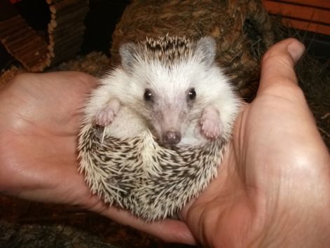 honey_family_2011._09._14_069.jpg
